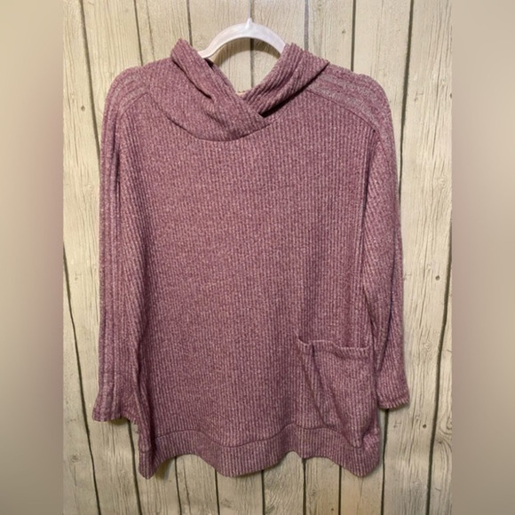 Soft Surroundings Lone Sleeve Hooded Tunic Top Size PS - Picture 1 of 4